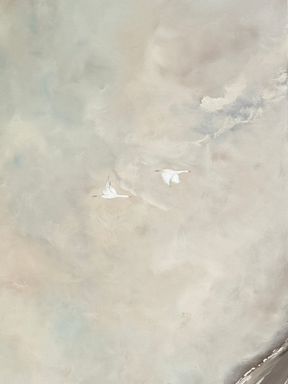 Open Skies