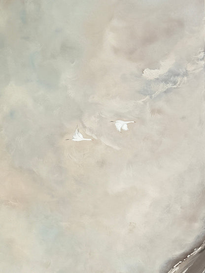Open Skies